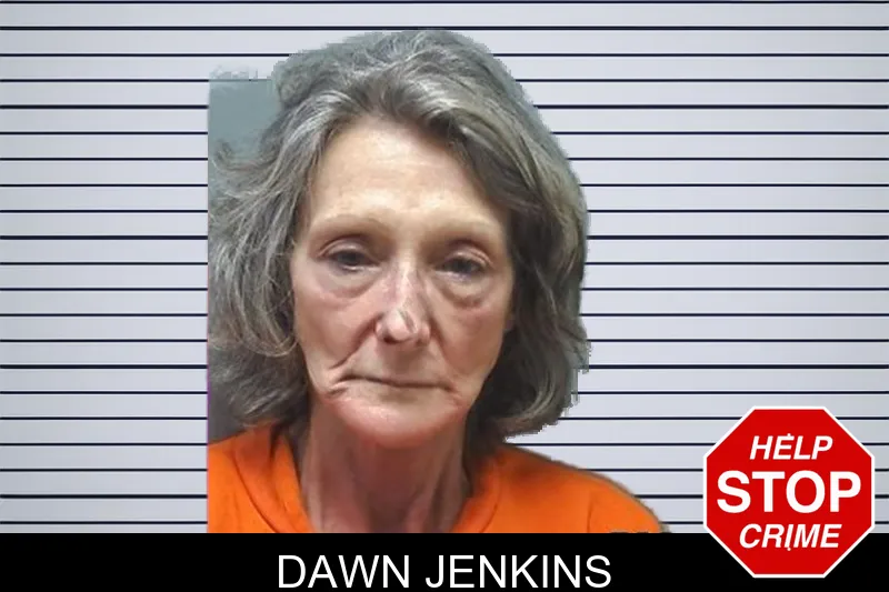 Dawn Jenkins mugshot