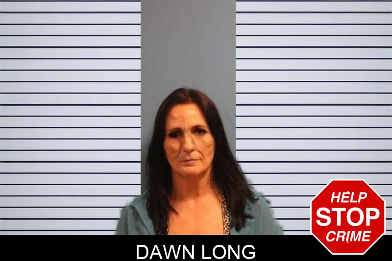 Dawn Long mugshot