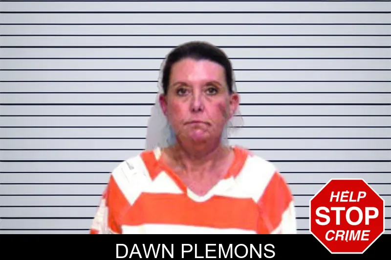 Dawn Plemons mugshot