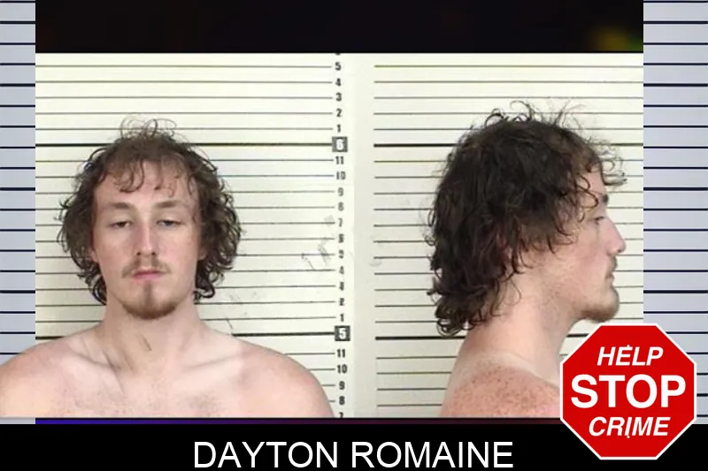 Dayton Romaine mugshot