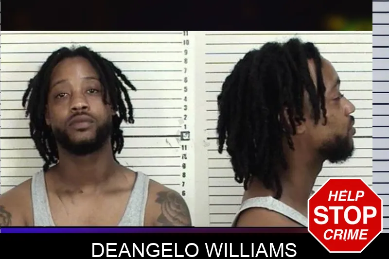 DeAngelo Williams mugshot