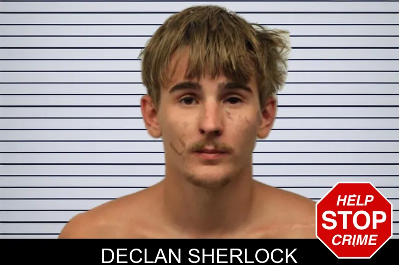 DeClan Sherlock mugshot