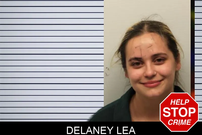 DeLaney Lea mugshot