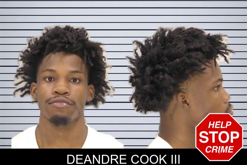 Deandre Cook III mugshot