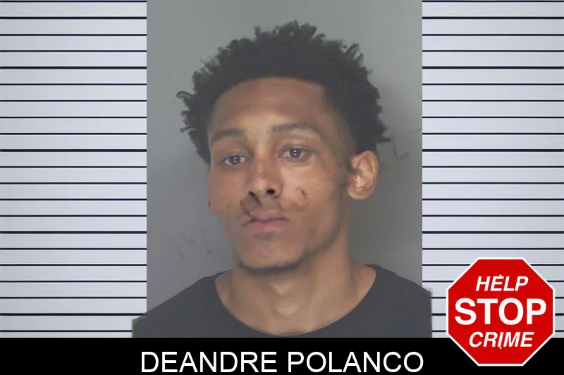 Deandre Polanco mugshot