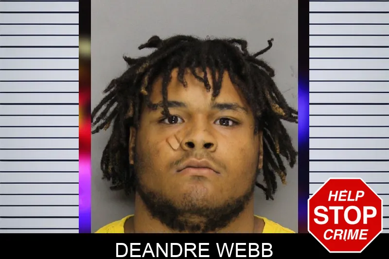 Deandre Webb mugshot