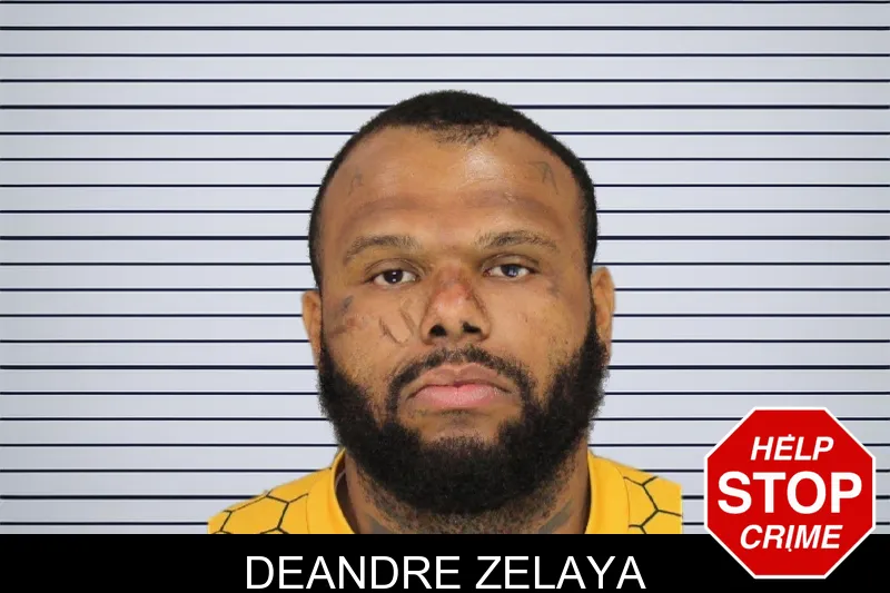 Deandre Zelaya mugshot