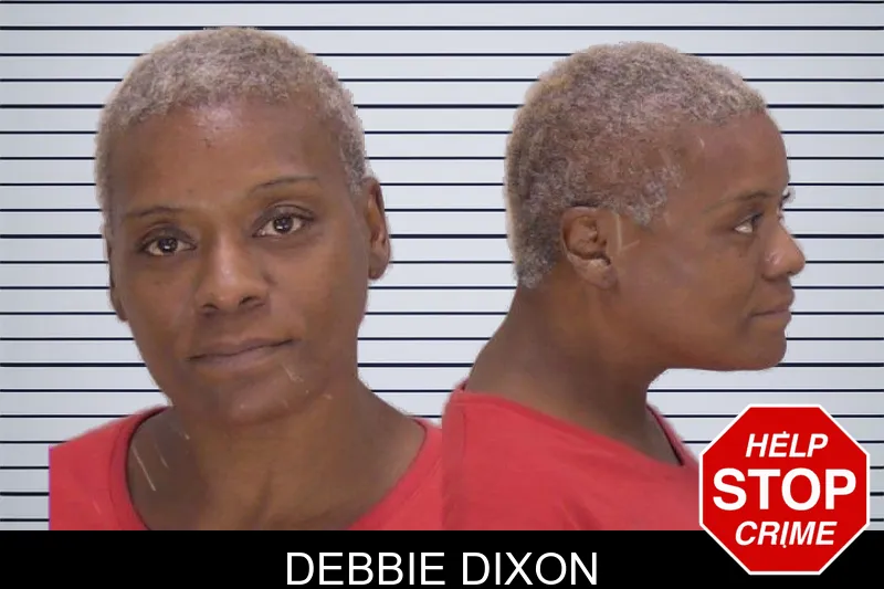 Debbie Dixon mugshot
