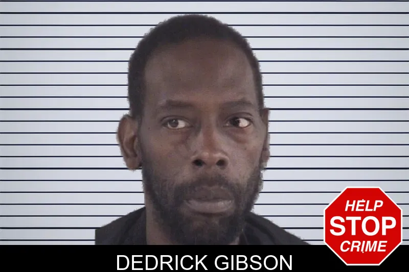 Dedrick Gibson mugshot
