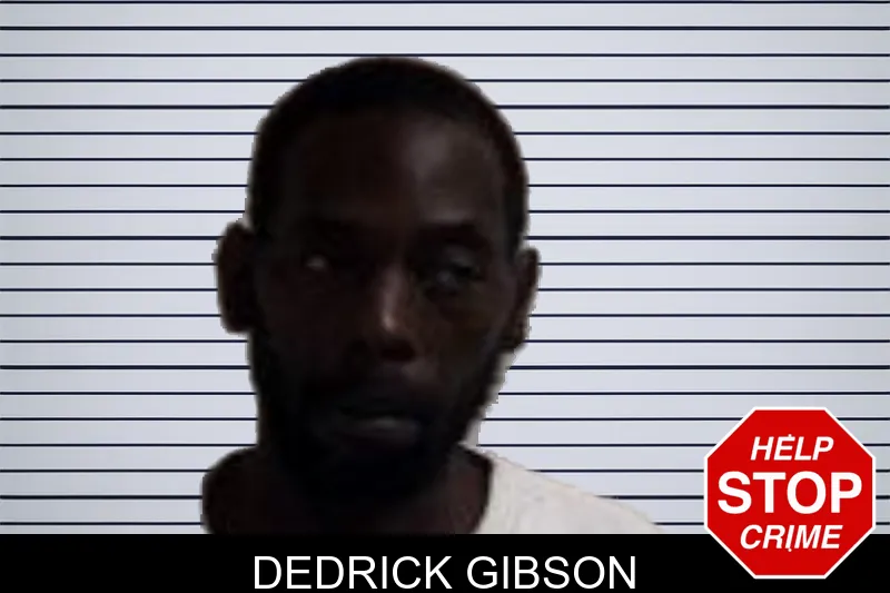 Dedrick Gibson mugshot