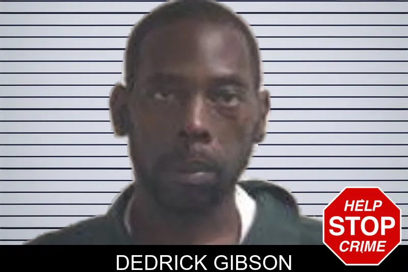Dedrick Gibson mugshot