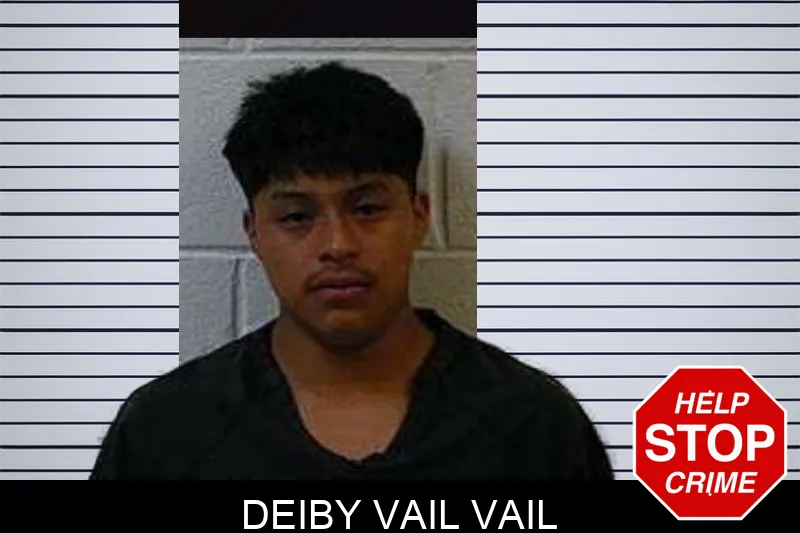 Deiby Vail Vail mugshot