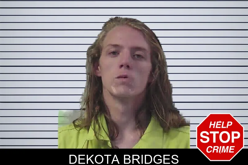 Dekota Bridges mugshot