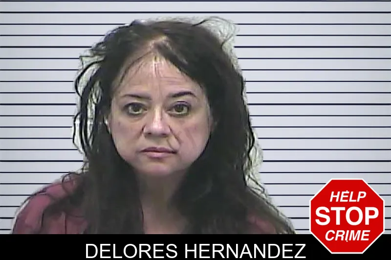 Delores Hernandez mugshot