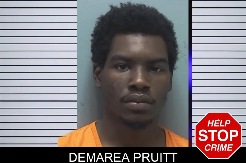Demarea Pruitt mugshot