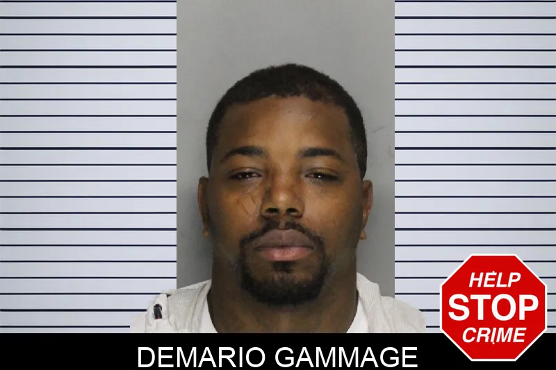 Demario Gammage mugshot