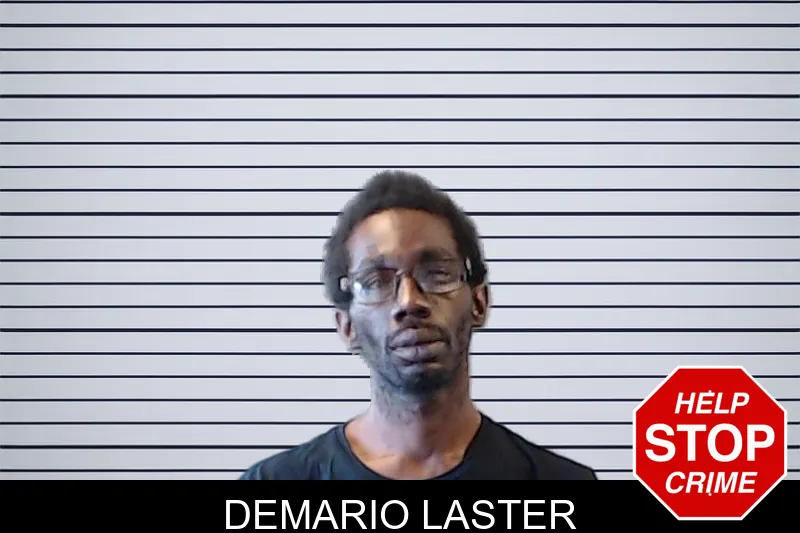 Demario Laster mugshot