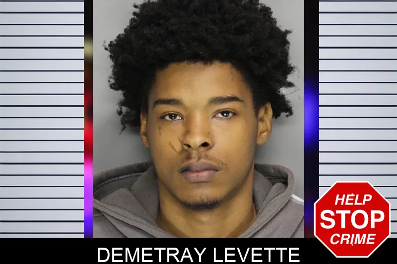 Demetray Levette mugshot