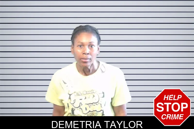 Demetria Taylor mugshot