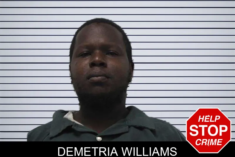 Demetria Williams mugshot