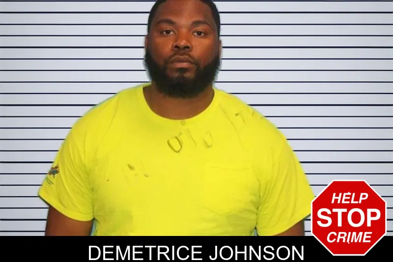 Demetrice Johnson mugshot