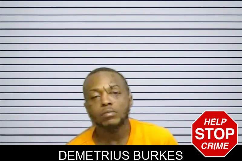 Demetrius Burkes mugshot