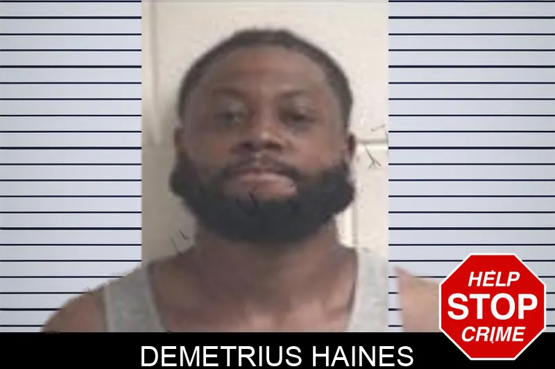 Demetrius Haines mugshot