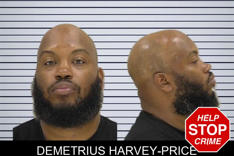 Demetrius Harvey-Price mugshot
