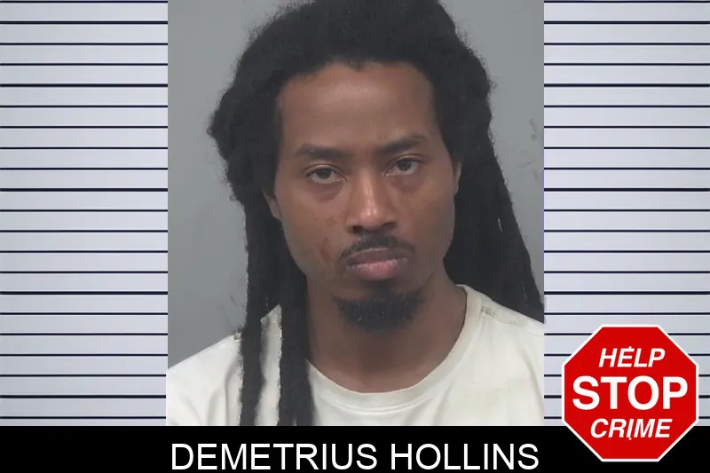 Demetrius Hollins mugshot