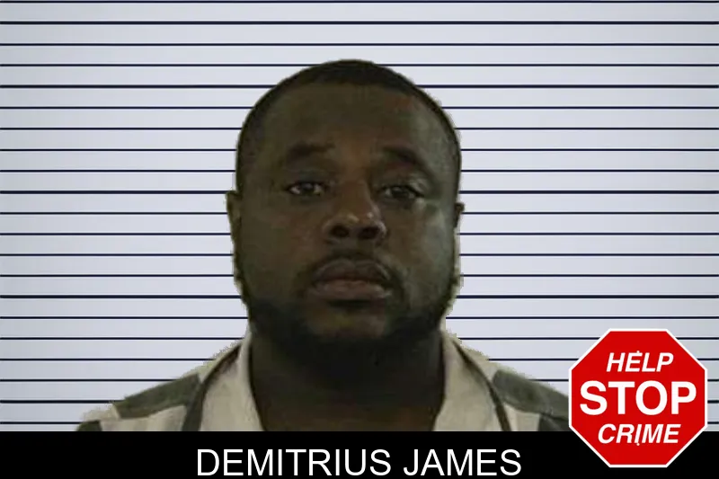 Demitrius James mugshot