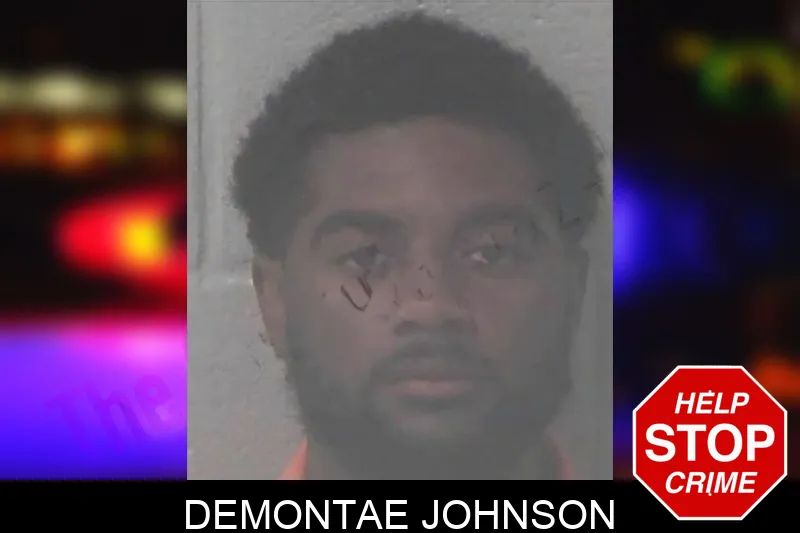 Demontae Johnson mugshot