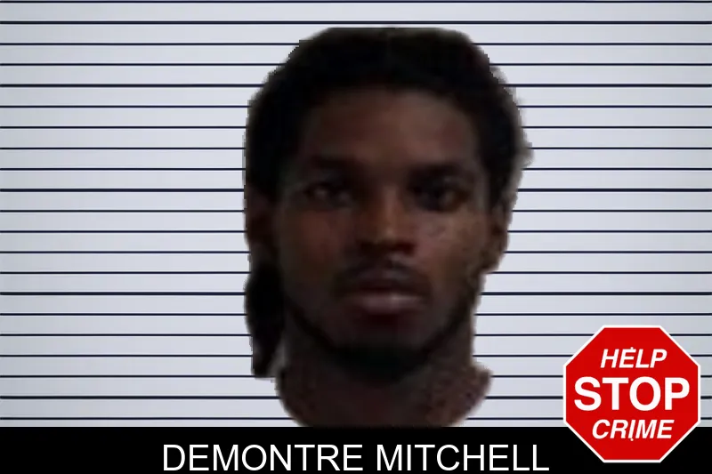 Demontre Mitchell mugshot