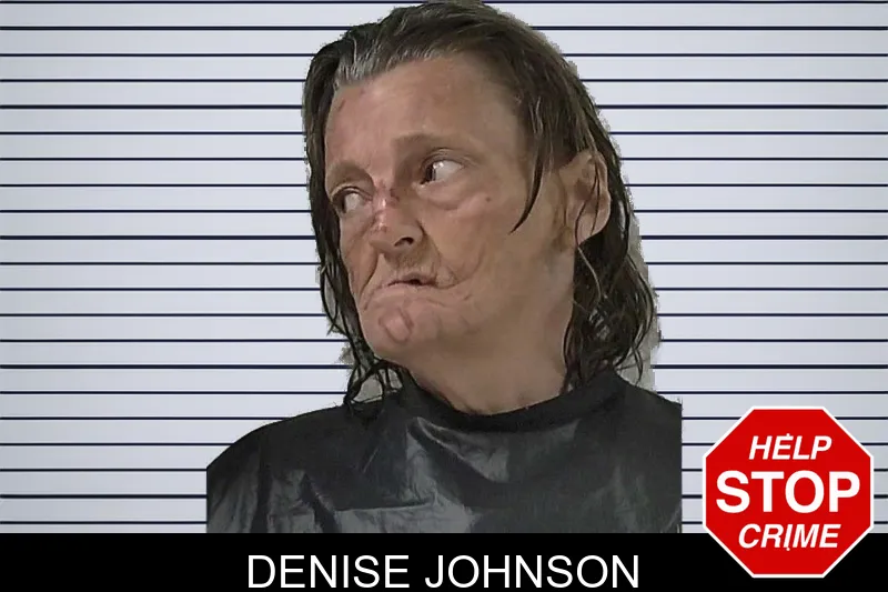 Denise Johnson mugshot