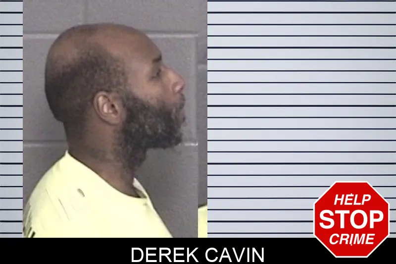 Derek Cavin mugshot