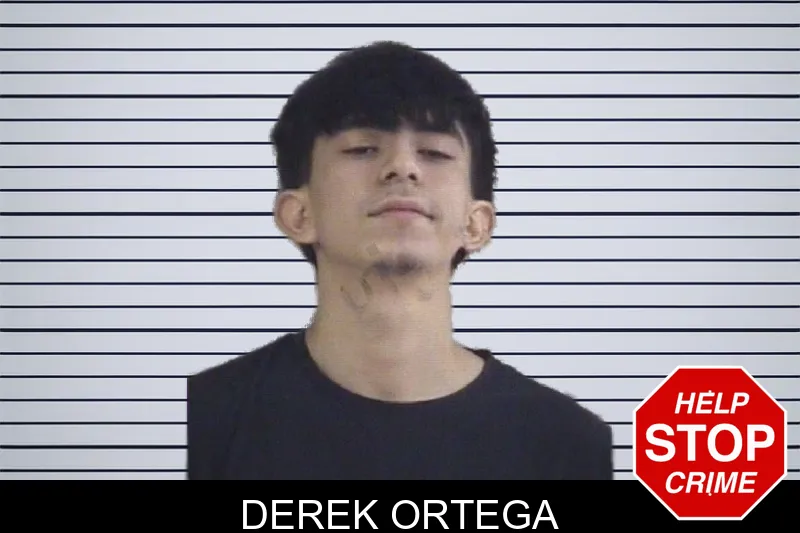 Derek Ortega mugshot