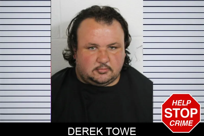 Derek Towe mugshot