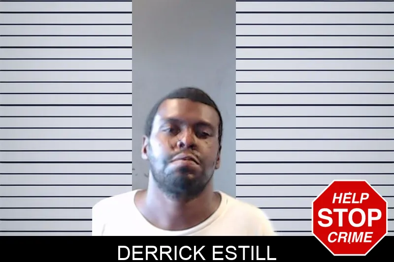 Derrick Estill mugshot