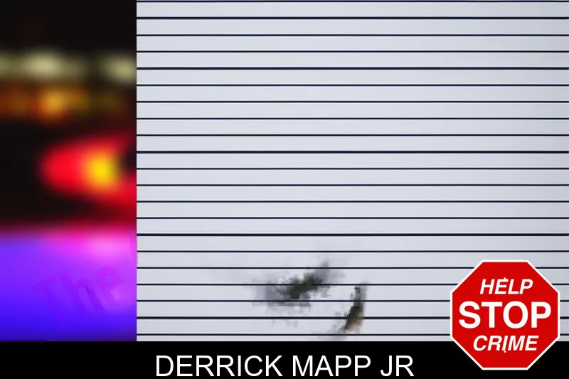 Derrick Mapp Jr mugshot