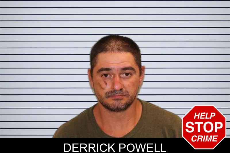 Derrick Powell mugshot