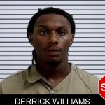 Derrick Williams mugshot