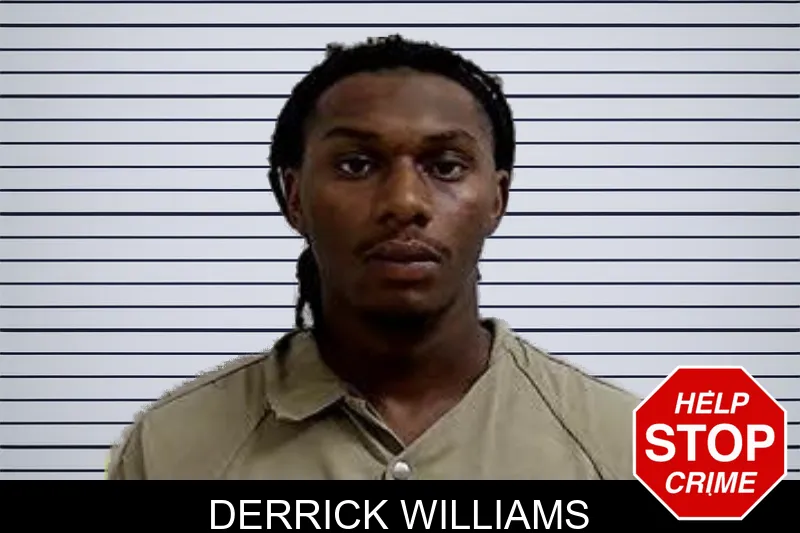 Derrick Williams mugshot
