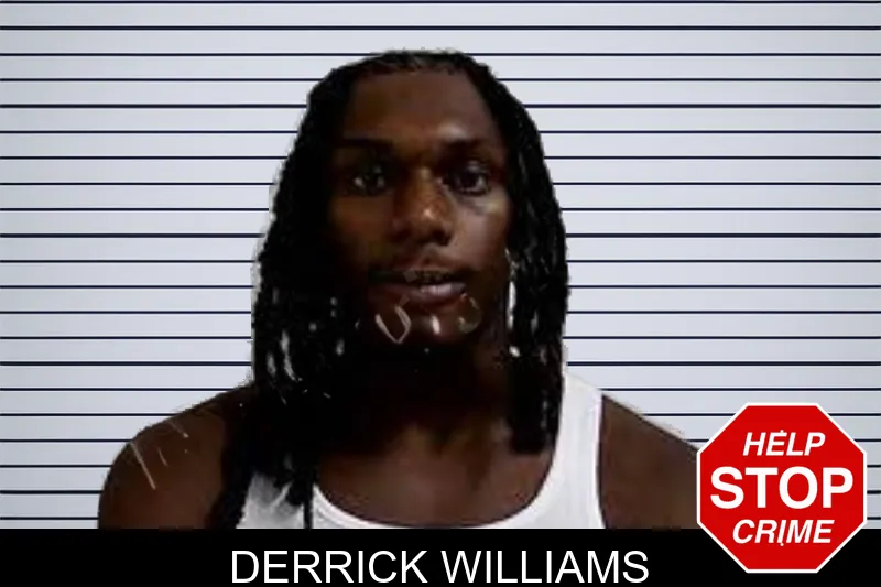 Derrick Williams mugshot