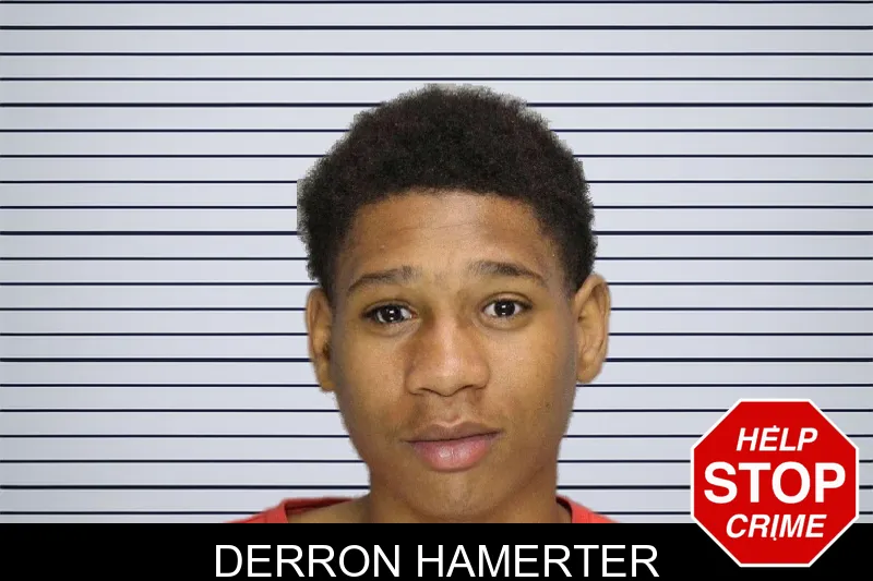 Derron Hamerter mugshot