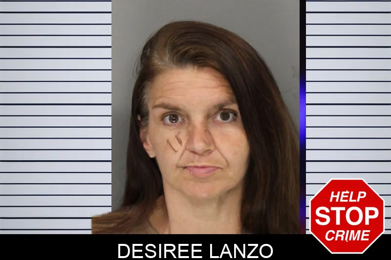 Desiree Lanzo mugshot