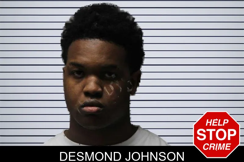 Desmond Johnson mugshot