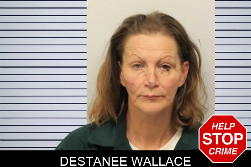Destanee Wallace mugshot