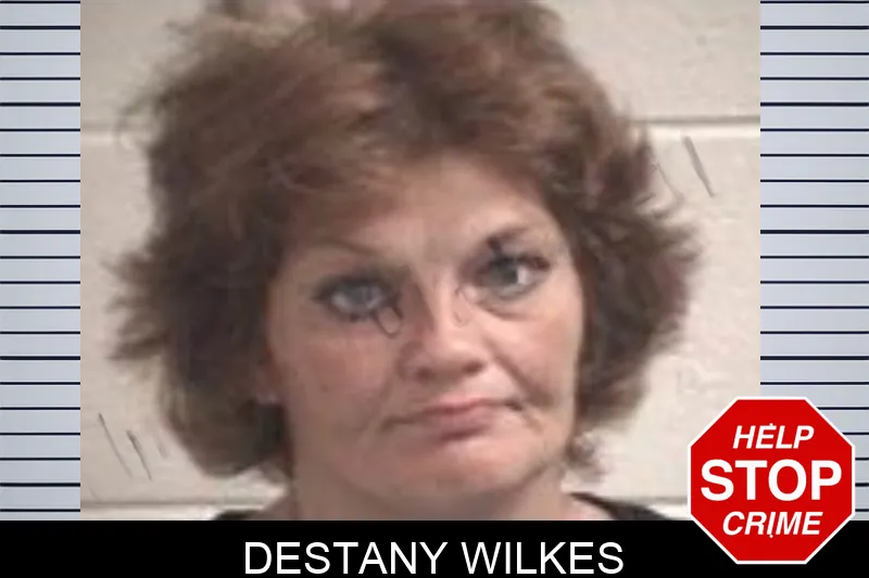 Destany Wilkes mugshot