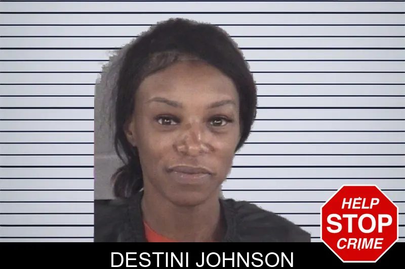 Destini Johnson mugshot