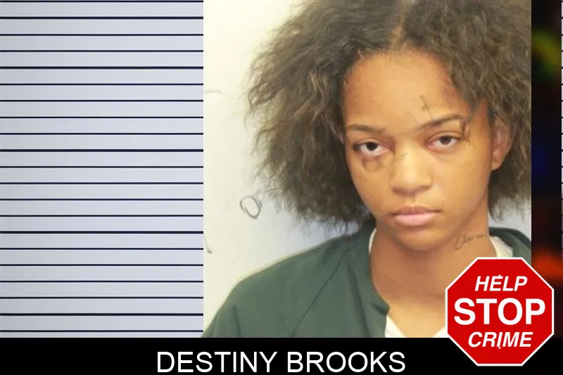 Destiny Brooks mugshot
