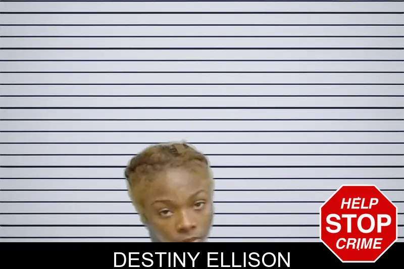 Destiny Ellison mugshot